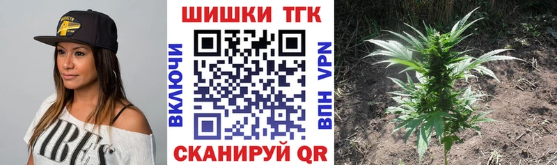 Виды наркотиков купить Вилючинск Гашиш  КОКАИН  NBOMe  Мефедрон  АМФ 
