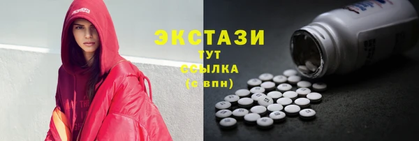 ECSTASY Богородск