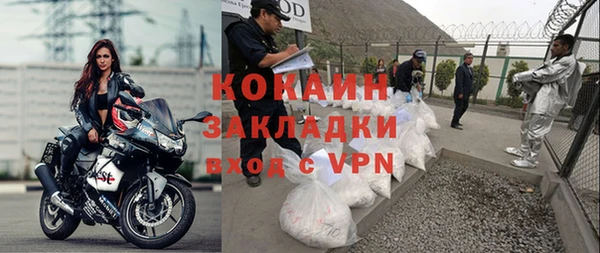 прущие крисы Бородино