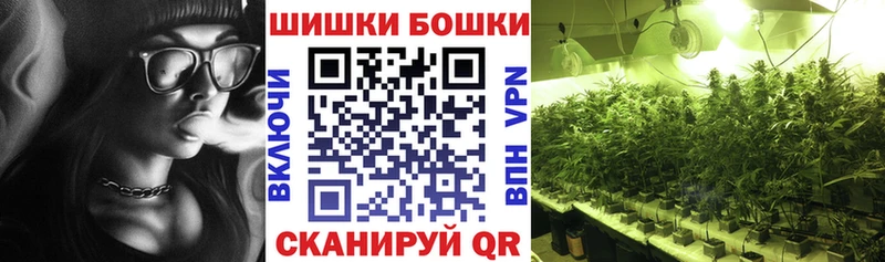 Конопля сатива Вилючинск