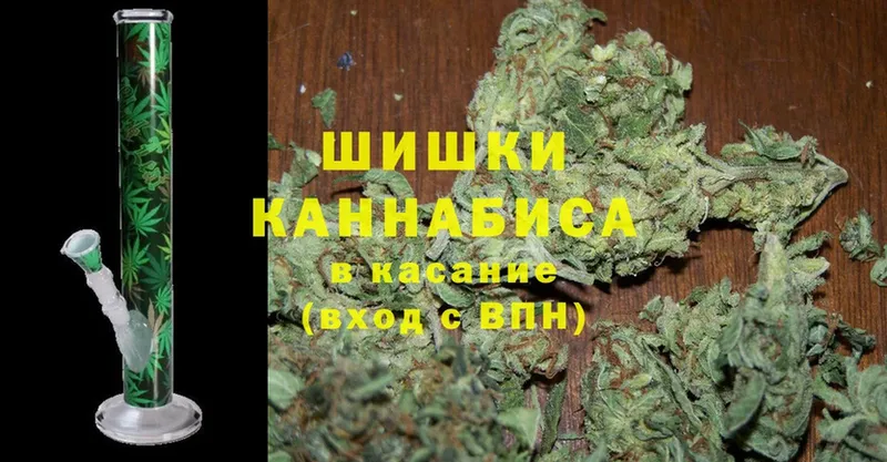 цена наркотик  Вилючинск  Бошки Шишки THC 21% 